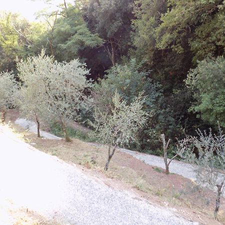 カマイオーレ Fattoria Ceragioliヴィラ エクステリア 写真
