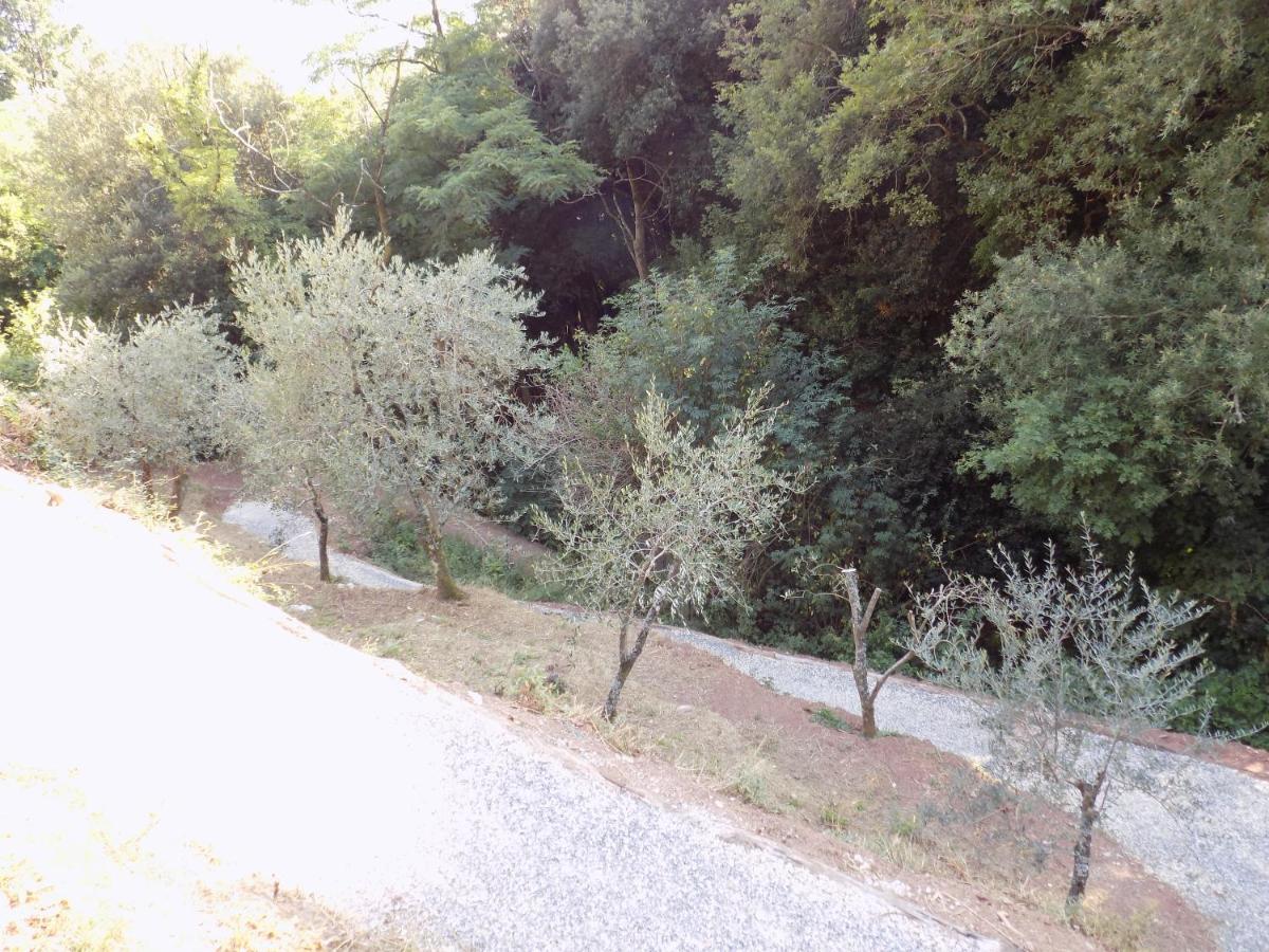 カマイオーレ Fattoria Ceragioliヴィラ エクステリア 写真