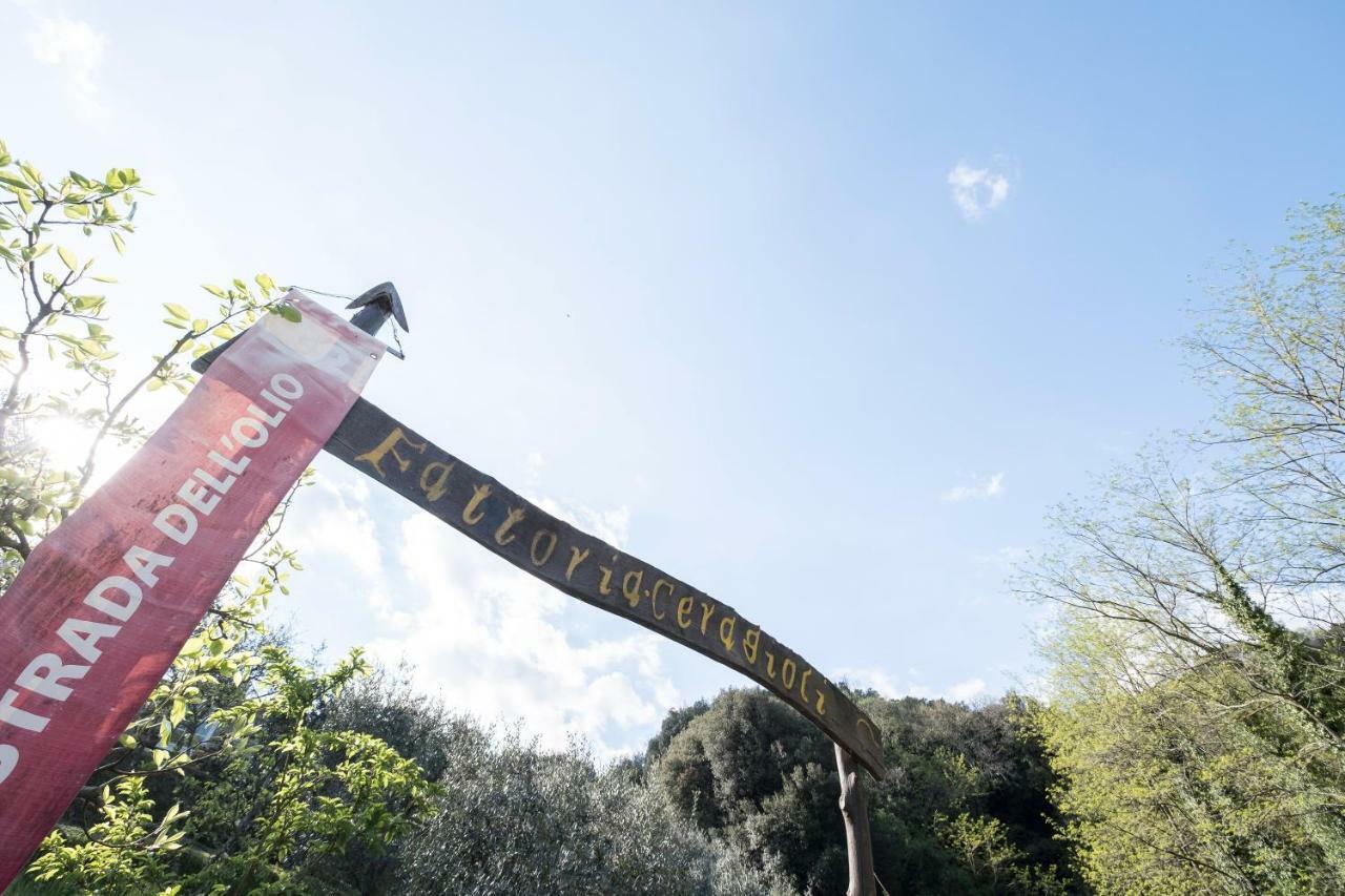 カマイオーレ Fattoria Ceragioliヴィラ エクステリア 写真